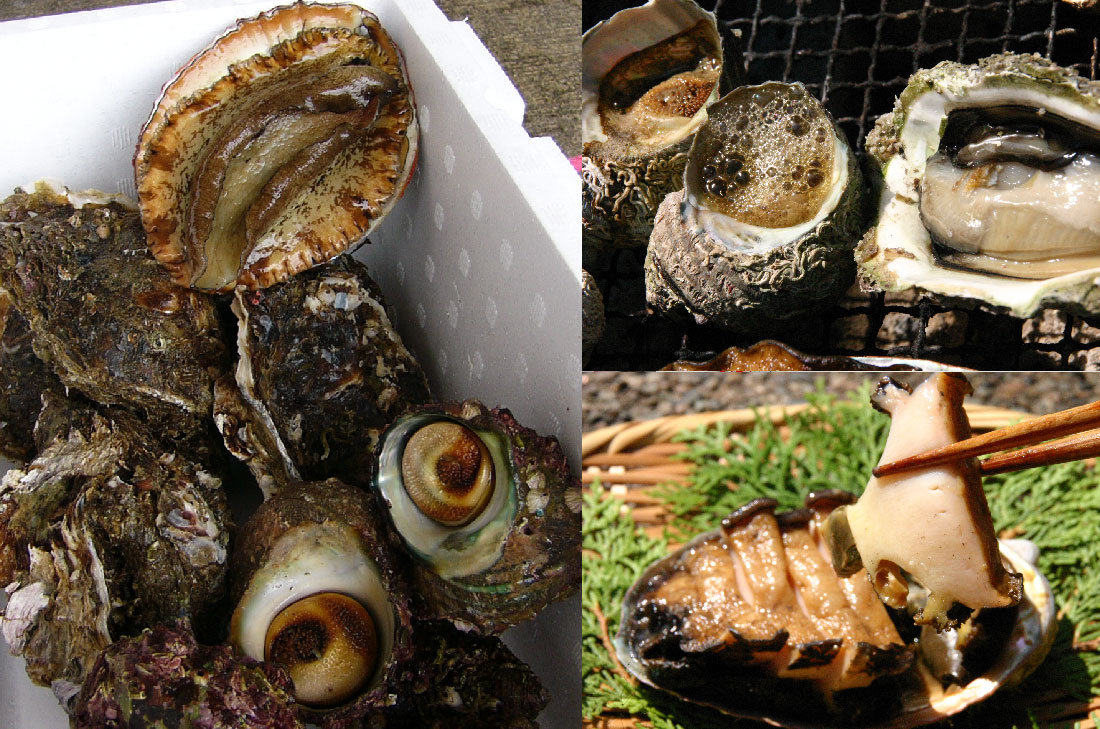 サザエ、岩牡蠣、アワビの貝詰め合わせ（2－3人分）